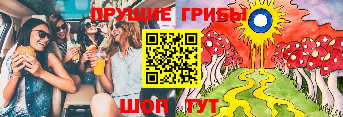 Галлюциногенные грибы Psilocybine cubensis Сатка
